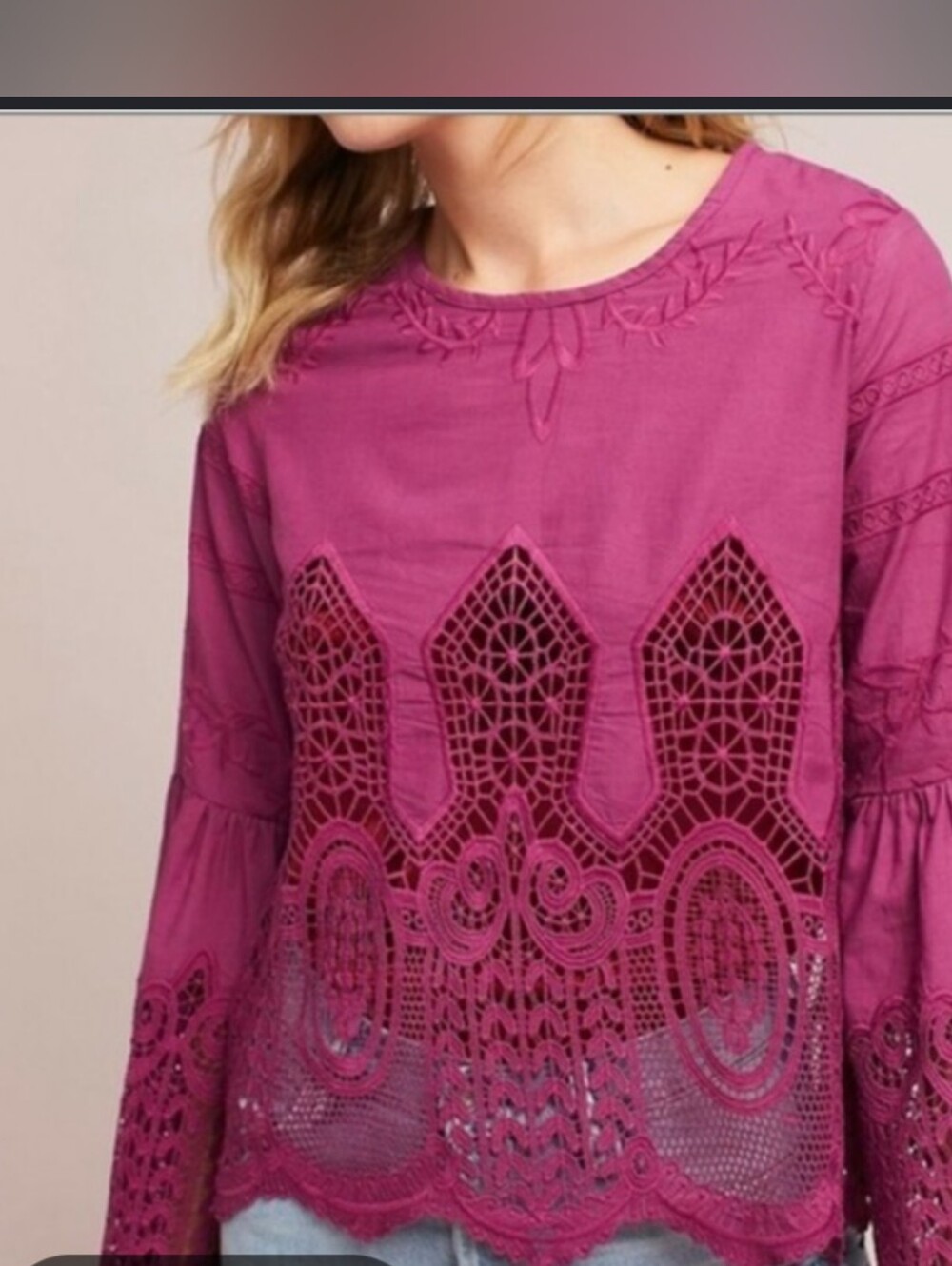 Anthropologie Chloe Oliver Lace Embroidered Blouse